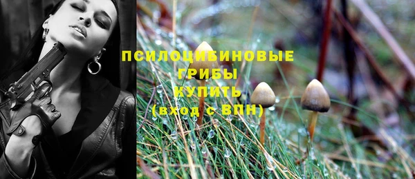 jwh Михайлов